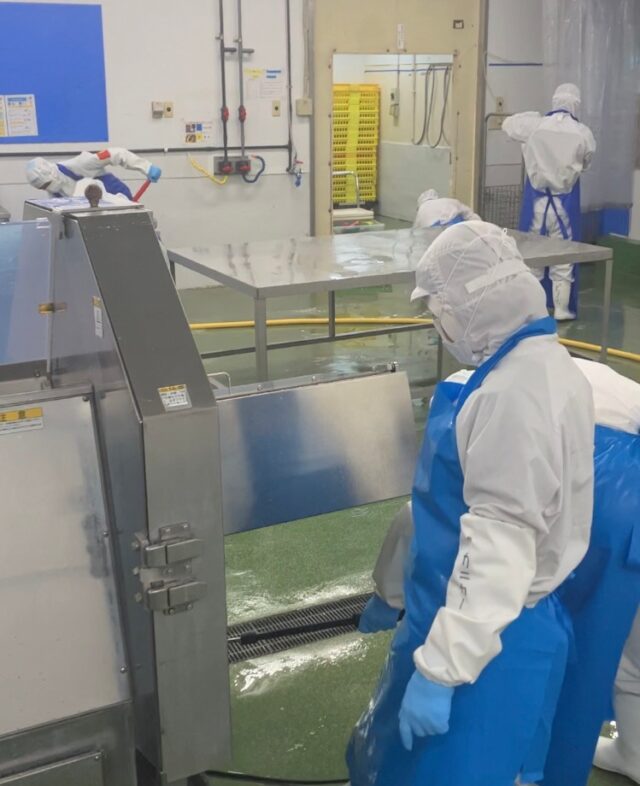 年末を迎え、今年も恒例の大掃除を実施しました！
今年は普段はなかなか手が届かない「機械設備の裏側」の洗浄を行いました。

工場内に設置されている機械、特に大型設備は、裏面の清掃が難しい箇所のひとつ。
これまでは人が潜り込んだり、長いブラシを差し込んでこすったりと、手間と時間をかけて清掃を行ってきました。

そこで今年から、高圧洗浄機用の専用洗浄ノズルを新たに導入。実際に使用してみると、汚れの落ち具合は想像以上で、作業効率も大きく向上しました。

これからも、お客様により安心・安全な食品をお届けできるよう、細かな部分まで気を配りながら、衛生管理の徹底に努めてまいります。

今年も一年大変お世話になりました。
来年もナカガワフーズをよろしくお願いいたします。

#大掃除 
#工場の大掃除
#工場見学
#熊本の会社
#熊本
#ナカガワフーズ
#nakagawafoods
#MICA
#ひまわり
#ひまわりとともに
#ナカガワフーズのテーマソング
#ナカガワフーズの歌が好き
#熊本から世界へ
#この歌知ってる人とつながりたい